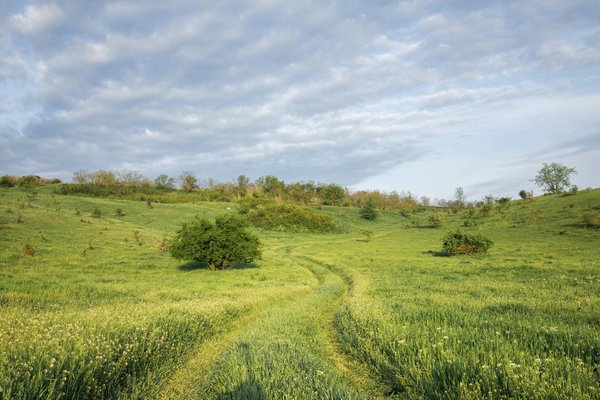 Quelle croisière propose des ateliers de fabrication de céramique au Japon?
